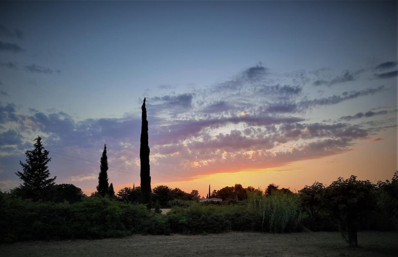 La Maison Du Chemin Des Prairies Morieres-les-Avignon Dış mekan fotoğraf
